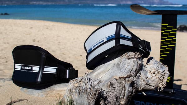 Dakine Fly wing harness - vista 2