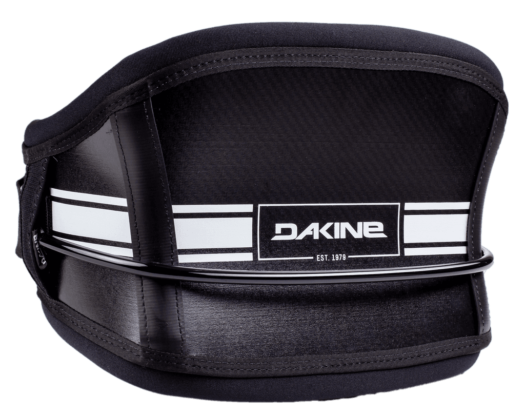 Dakine Fly wing harness