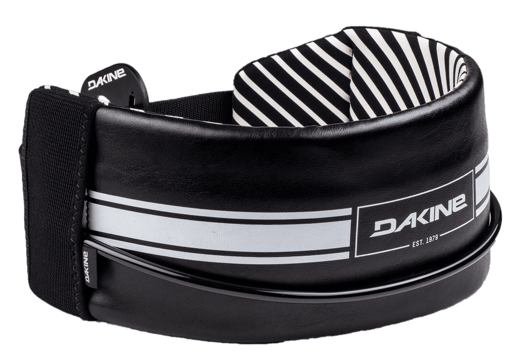 Dakine Solo wing harness